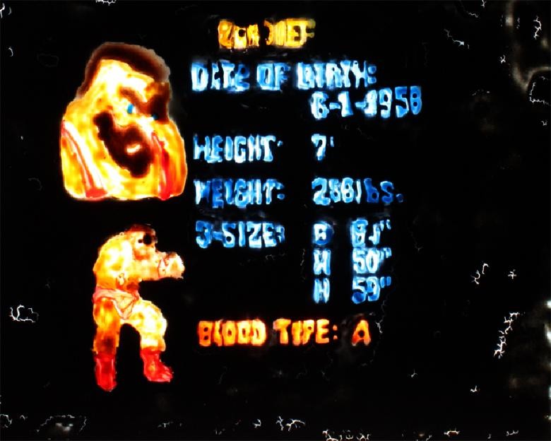 content/Works/2012/(3)Fighting_colours