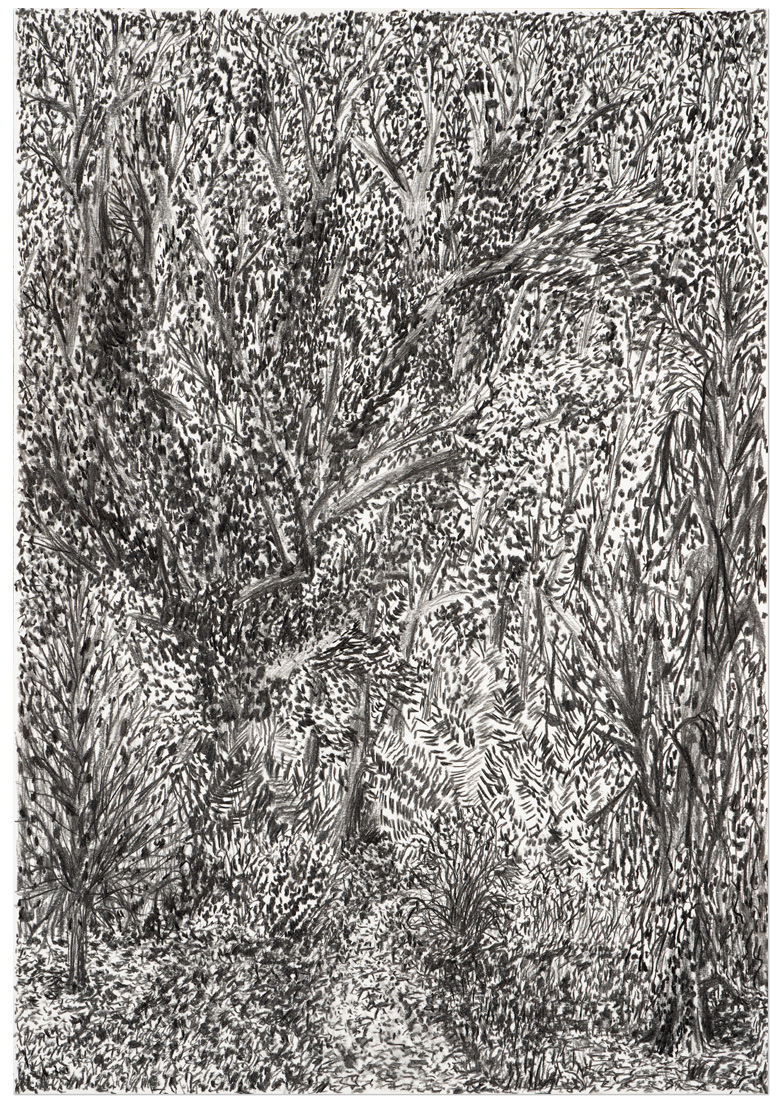 content/Works/2021/(1)Hundisburg_Serie