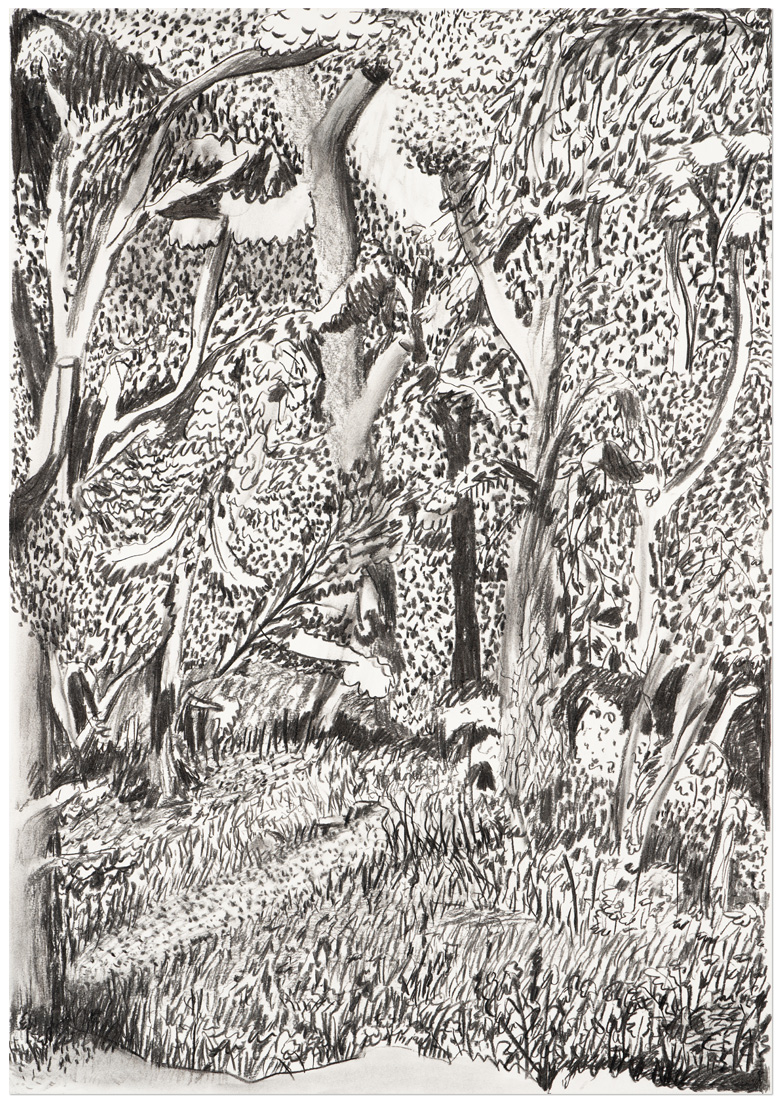 content/Works/2021/(1)Hundisburg_Serie