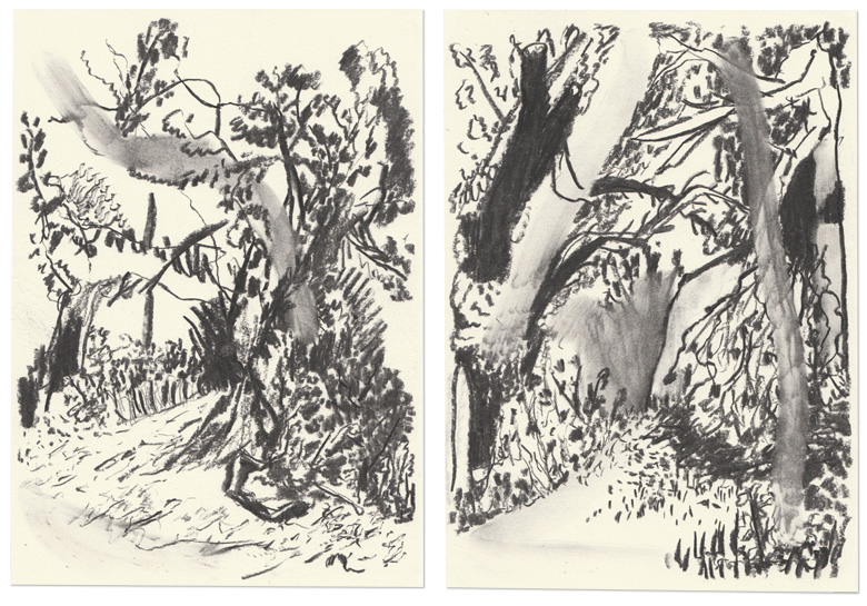 content/Works/2021/(1)Hundisburg_Serie