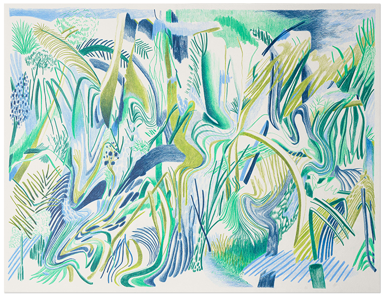 content/Works/2021/(2)Boca_de_Camrioca_Serie