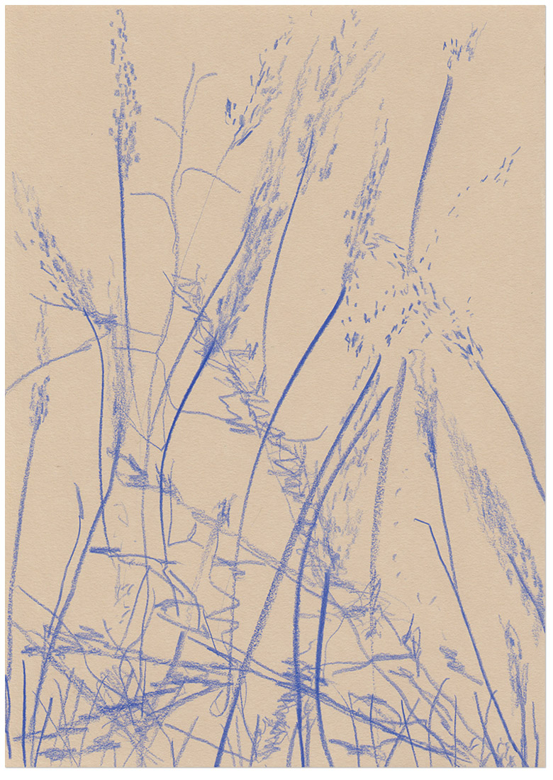 content/Works/2022/(4)Land