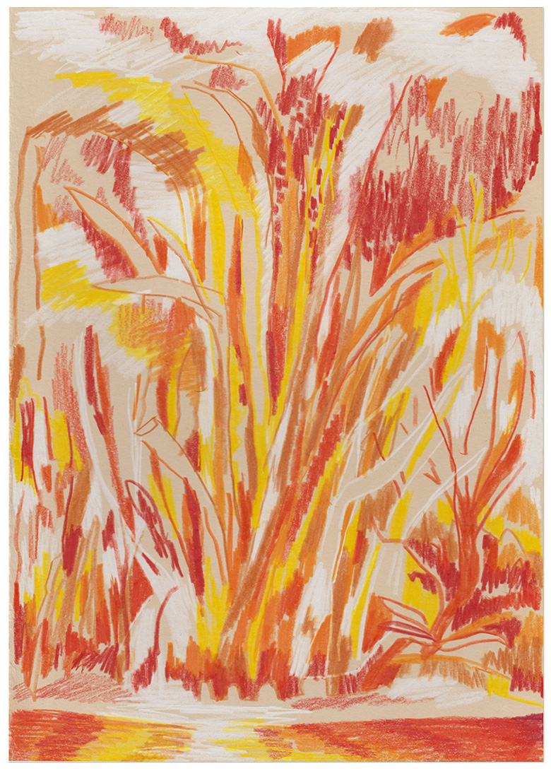 content/Works/2022/(4)Land