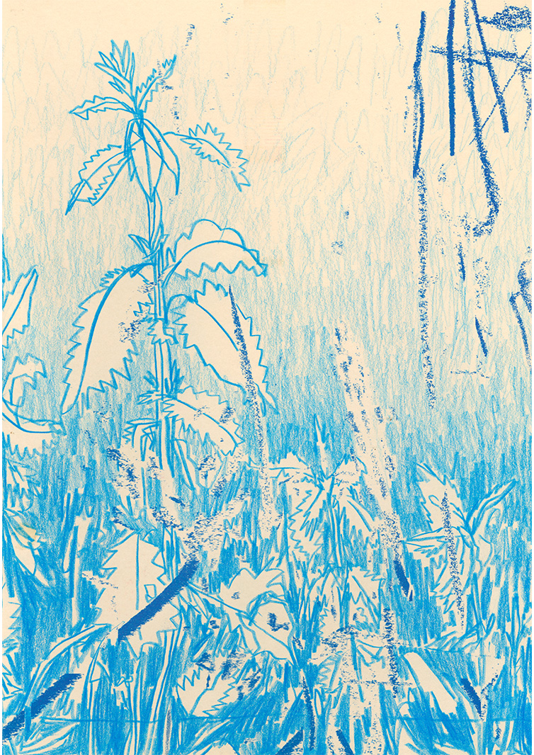 content/Works/2025/(2)Bilderkosmos_Lichtwiese