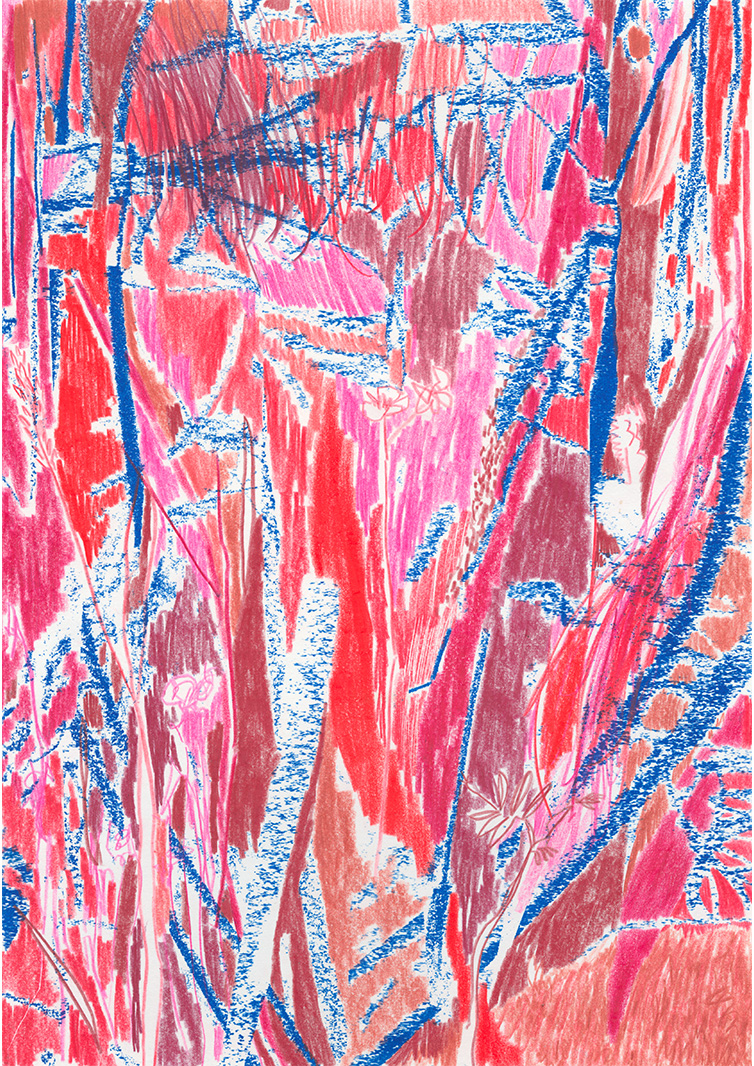 content/Works/2025/(2)Bilderkosmos_Lichtwiese